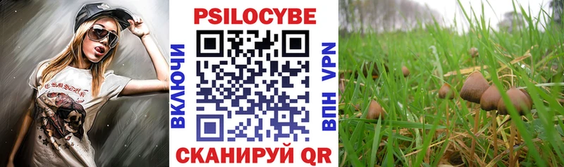 Галлюциногенные грибы мухоморы  МЕГА как зайти  площадка клад  Феодосия 